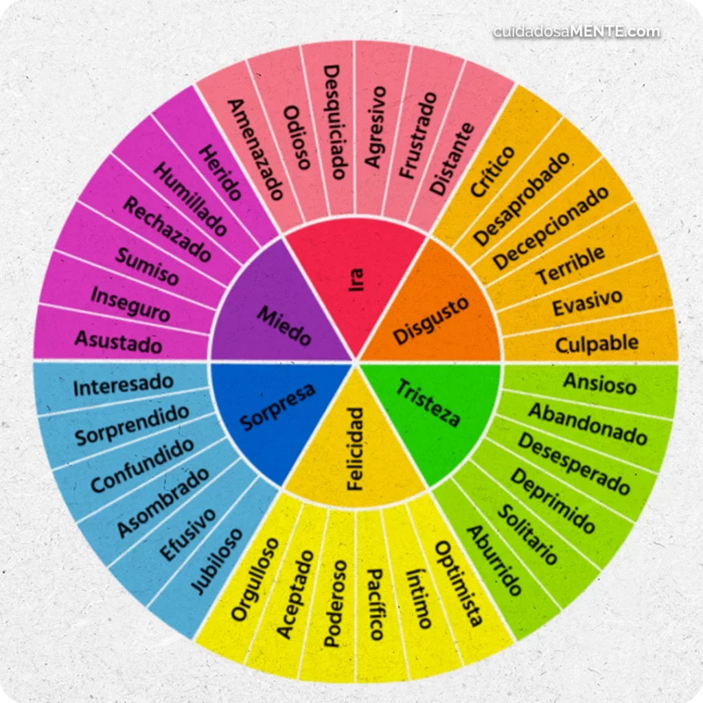 Understanding and Managing Emotions Effectively